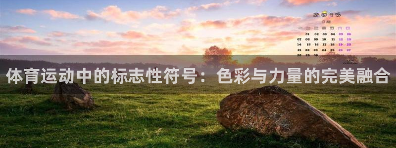 yy易游官方正版app新能源：体育运动中的标志性符号