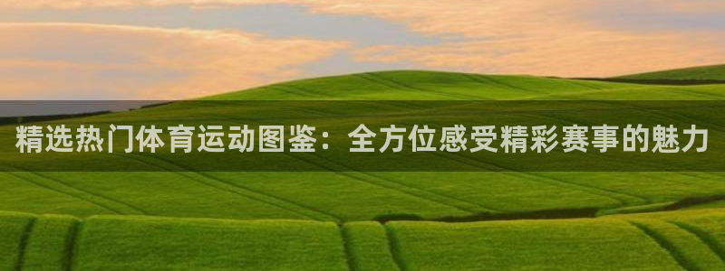 yy易游官方正版app代理：精选热门体育运动图鉴：全