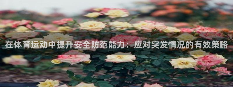 yy易游官网下载平台假的吗是真的吗吗：在体育运动中提升安全防