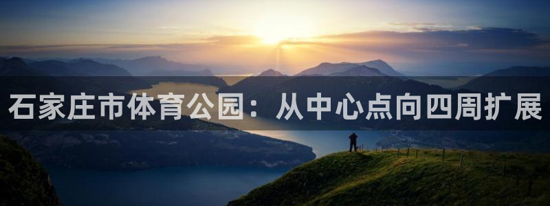 yy易游官方正版app集团