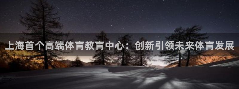 yy易游官方正版app娱乐首页网站大全：上海首个高端