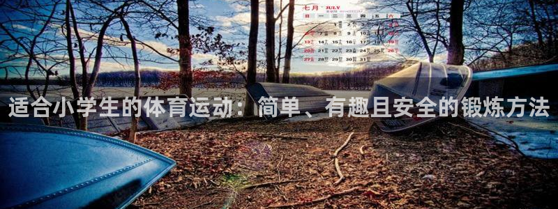 yy易游官网下载平台APP：适合小学生的体育运动：简