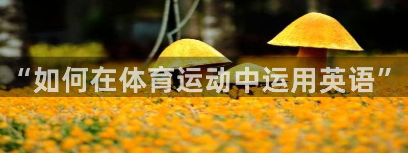 yy易游官网下载是干嘛的公司：“如何在体育运动中运用