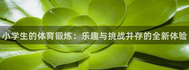 yy易游官方正版app官方：小学生的体育锻炼：乐趣与挑战并存