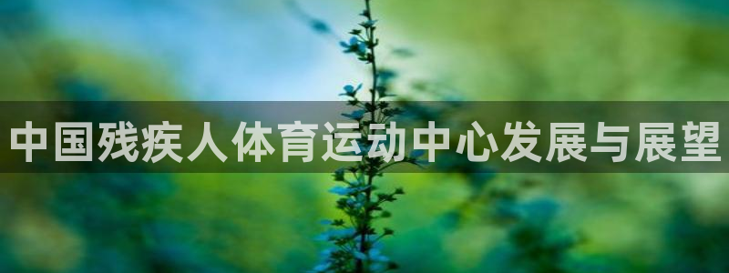 yy易游官网下载招商电话地址：中国残疾人体育运动中心发展与展