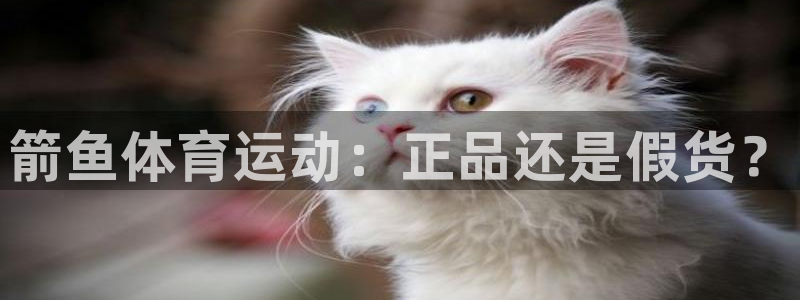 yy易游官方正版app娱乐代理怎么样：箭鱼体育运动：正品还是