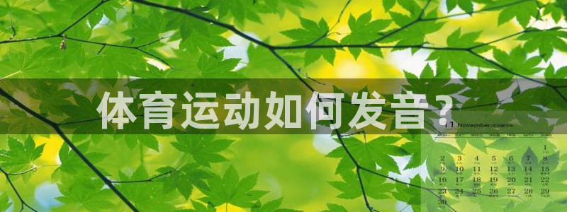 yy易游官方正版app新能源：体育运动如何发音？