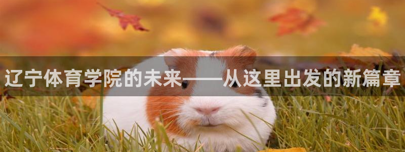 yy易游官方正版app娱乐平台：辽宁体育学院的未来—