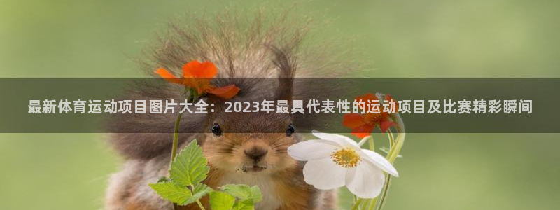 yy易游官方正版app神州：最新体育运动项目图片大全