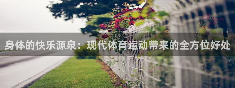 yy易游官方正版app娱乐首页官网下载：身体的快乐源