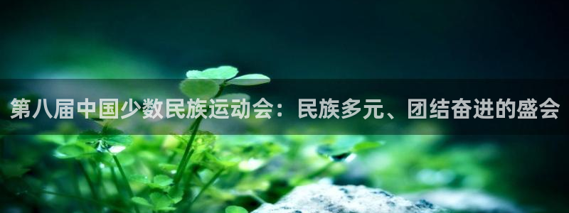 yy易游官方正版app集团：第八届中国少数民族运动会