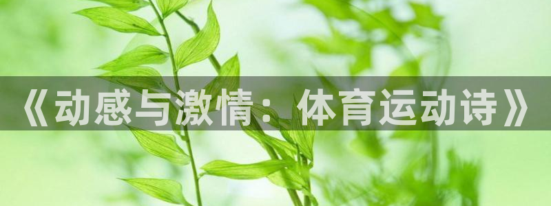 yy易游官网下载注册：《动感与激情：体育运动诗》
