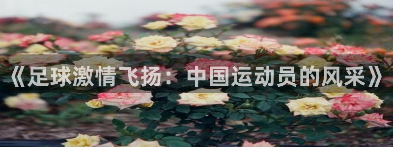 yy易游官网下载招商电话号码是多少号：《足球激情飞扬