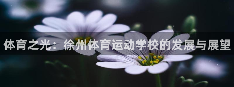 yy易游官方正版app娱乐网站：体育之光：徐州体育运