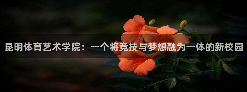 yy易游官网下载注册：昆明体育艺术学院：一个将竞技与