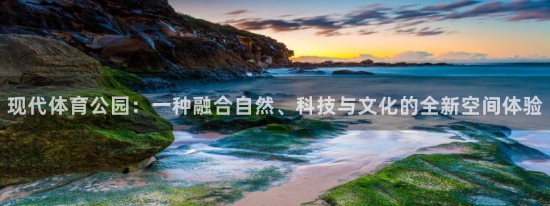 yy易游官方正版app娱乐平台：现代体育公园：一种融