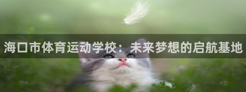 yy易游官方正版app集团logo：海口市体育运动学