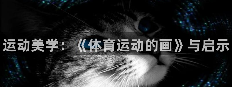 yy易游官网下载招商电话地址：运动美学：《体育运动的