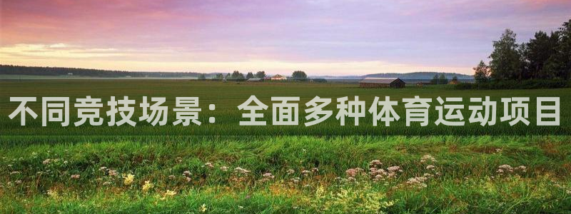 yy易游官网下载平台是正规平台吗知乎：不同竞技场景：