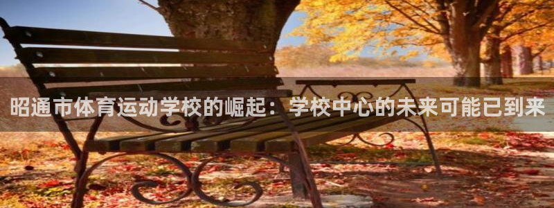 海南yy易游官网下载发展怎么样：昭通市体育运动学校的
