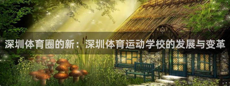 yy易游官方正版app集团官网首页：深圳体育圈的新：