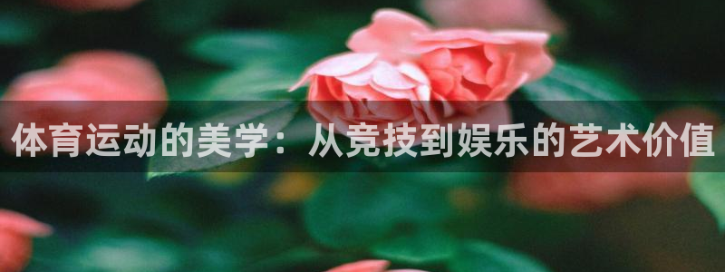 yy易游官方正版app科技：体育运动的美学：从竞技到
