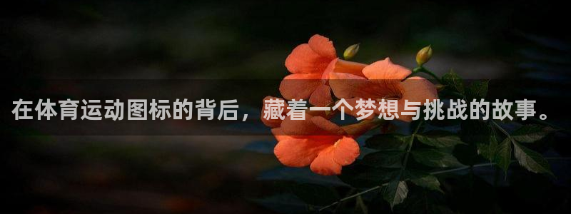 yy易游官网下载招商电话是多少：在体育运动图标的背后