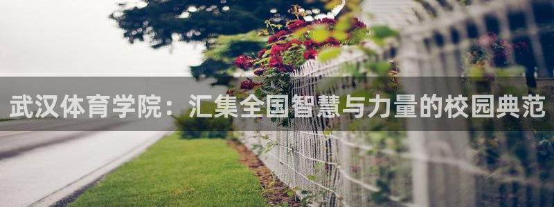 yy易游官方集团官网：武汉体育学院：汇集全国智慧与力