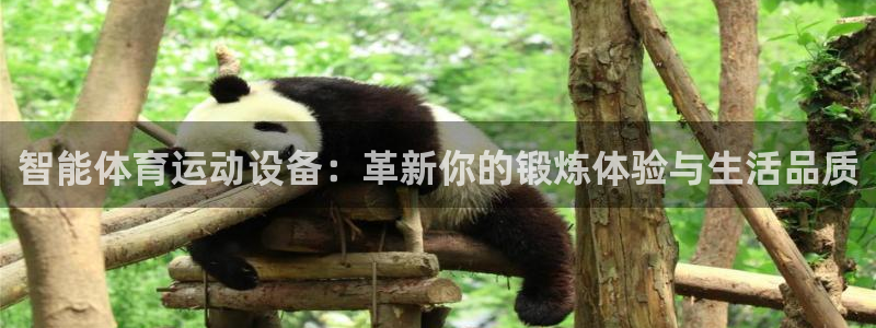 yy易游官网下载招商电话号码查询是多少：智能体育运动