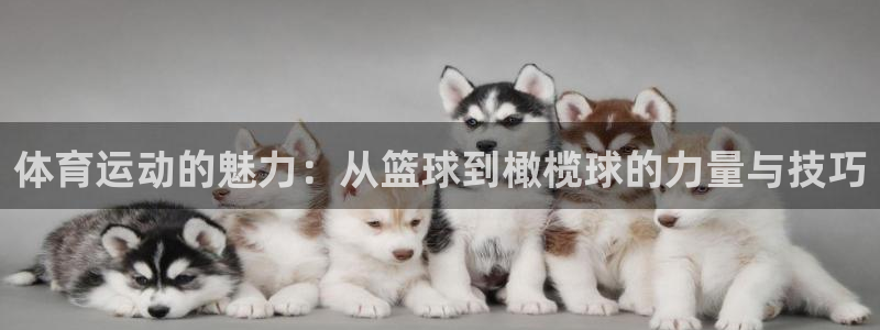 yy易游官网下载平台注册流程视频：体育运动的魅力：从