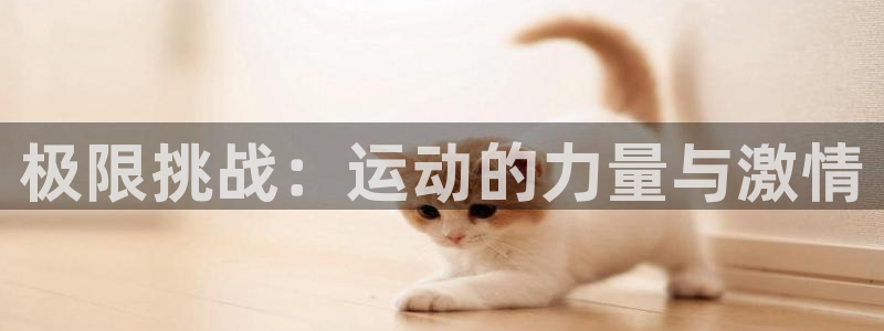 德国yy易游官方正版app集团：极限挑战：运动的力量