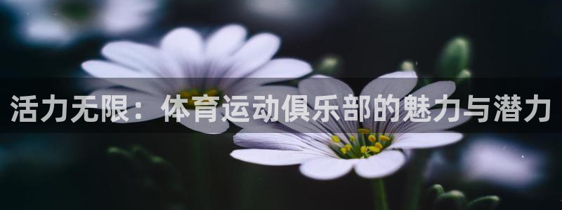 yy易游官方正版app娱乐下载：活力无限：体育运动俱