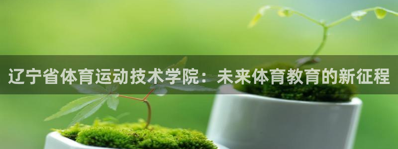 yy易游官方正版app集团官网网址：辽宁省体育运动技