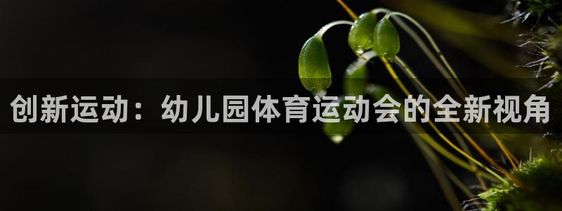 yy易游官方正版app娱乐代理怎么样：创新运动：幼儿