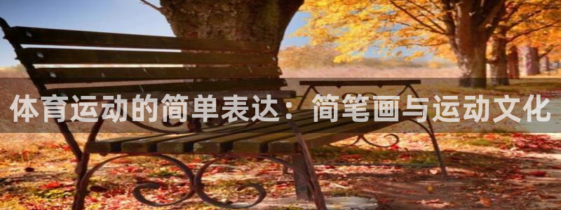 yy易游官网下载招商电话是多少啊：体育运动的简单表达