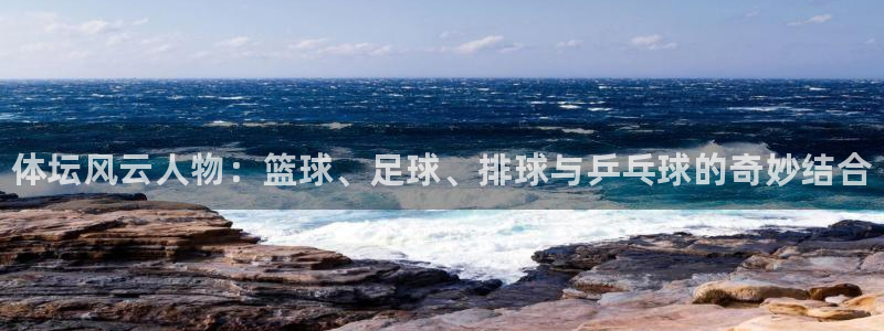 yy易游官方正版app娱乐下载：体坛风云人物：篮球、