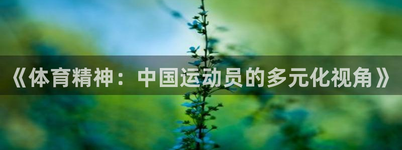 yy易游官网下载平台注册流程图：《体育精神：中国运动