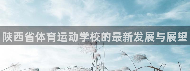 yy易游官网下载招商电话