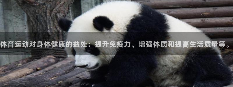 yy易游官方正版app代理：体育运动对身体健康的益处：提升免