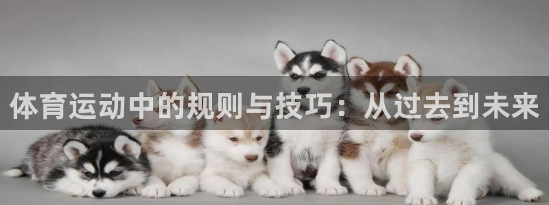 yy易游官网下载平台注册流程图：体育运动中的规则与技巧：从过