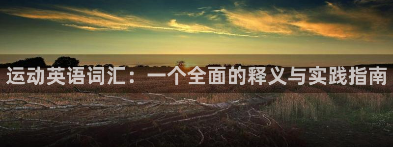 yy易游官方正版app集团官网首页：运动英语词汇：一个全面的