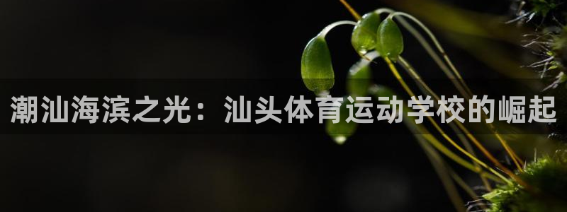 yy易游官网下载软件：潮汕海滨之光：汕头体育运动学校