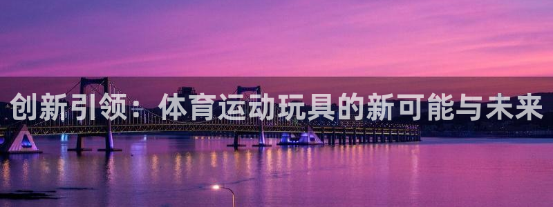 yy易游体育：创新引领：体育运动玩具