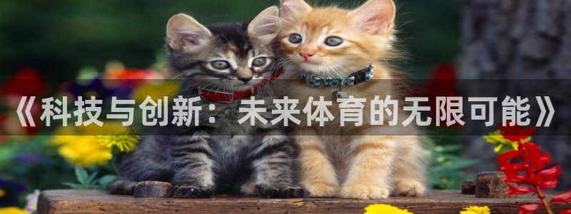yy易游体育是正规的吗安全吗：《科技