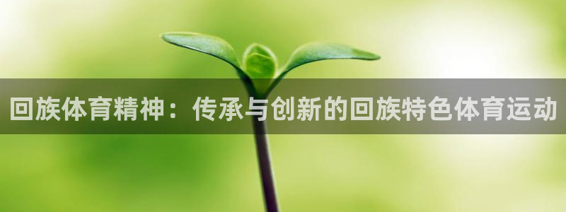 yy易游体育电竞怎么样：回族体育精神