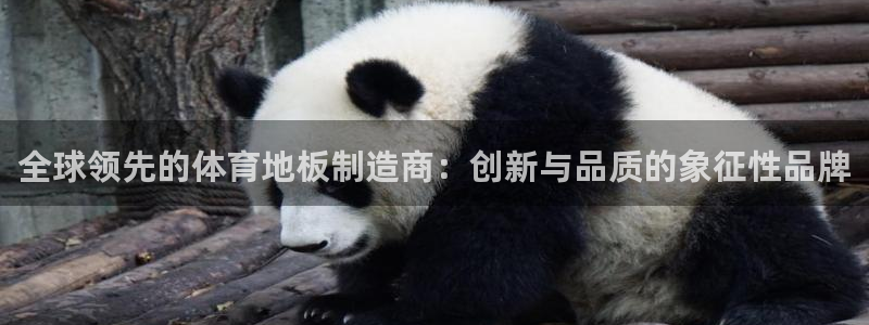 yy易游体育贴吧：全球领先的体育地板