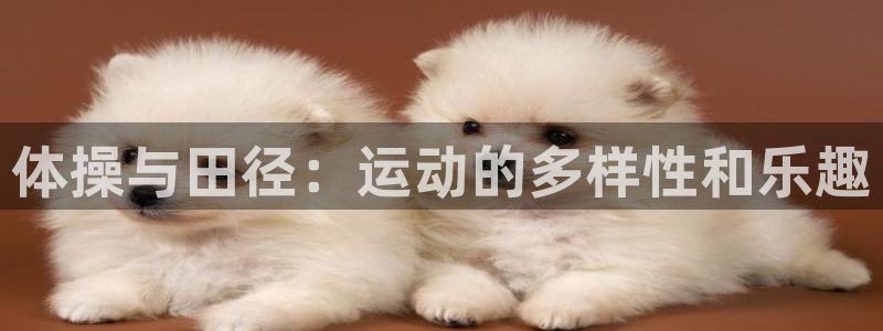  yy易游体育贴吧最新消息：体操与田径：运动的多样性和乐趣