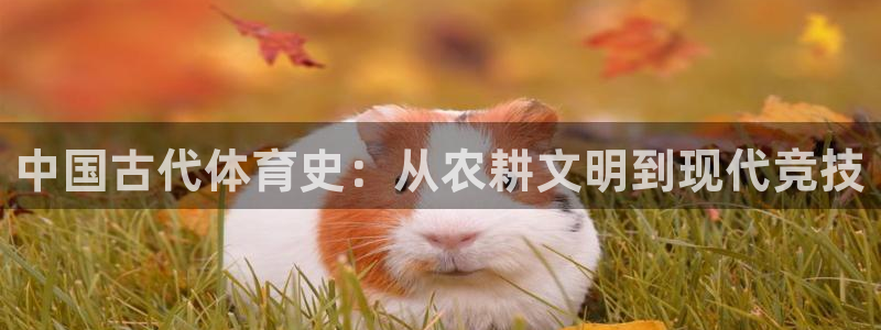  yy易游体育：中国古代体育史：从农耕文明到现代竞技