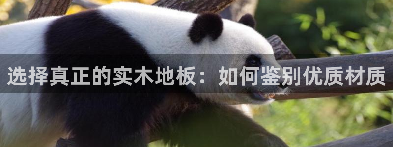 yy易游体育电竞登录不上去怎么办：选择真正的实木地板：如何鉴