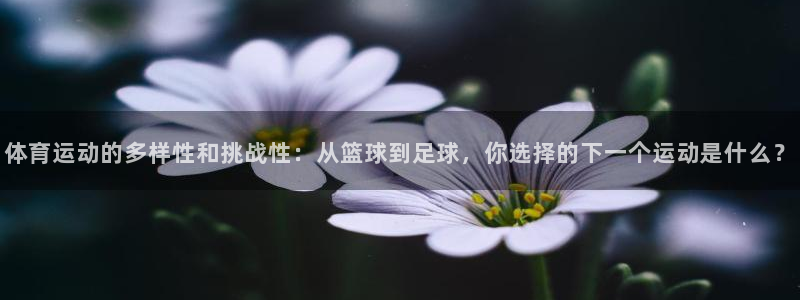  yy易游体育平台：体育运动的多样性和挑战性：从篮球到足球，你
